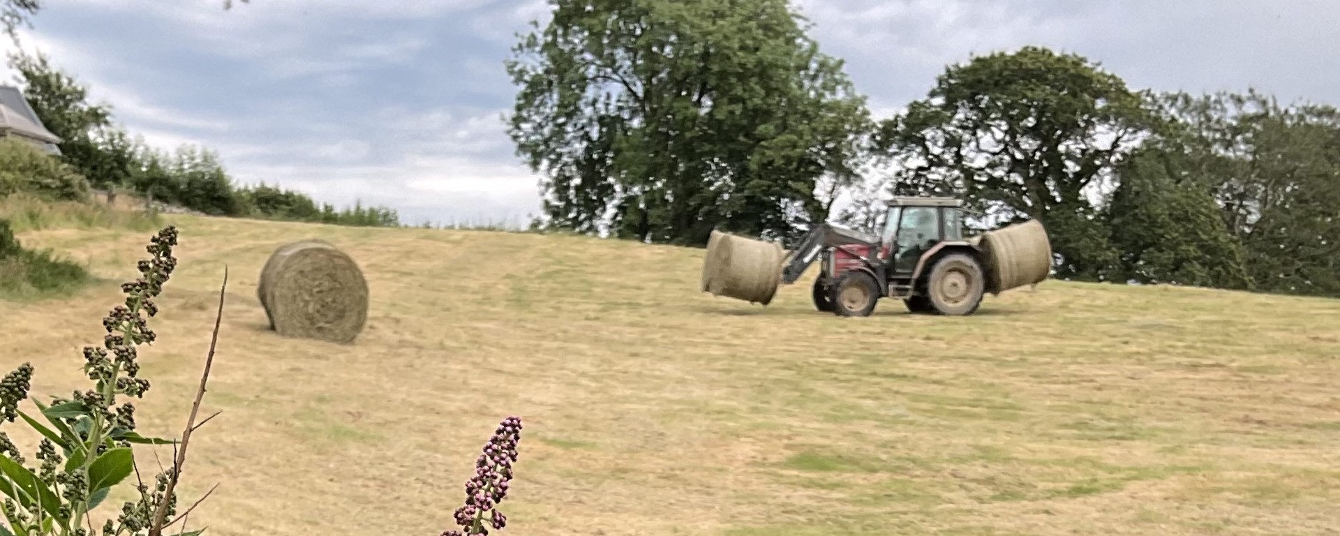 gathering in the round hay bails